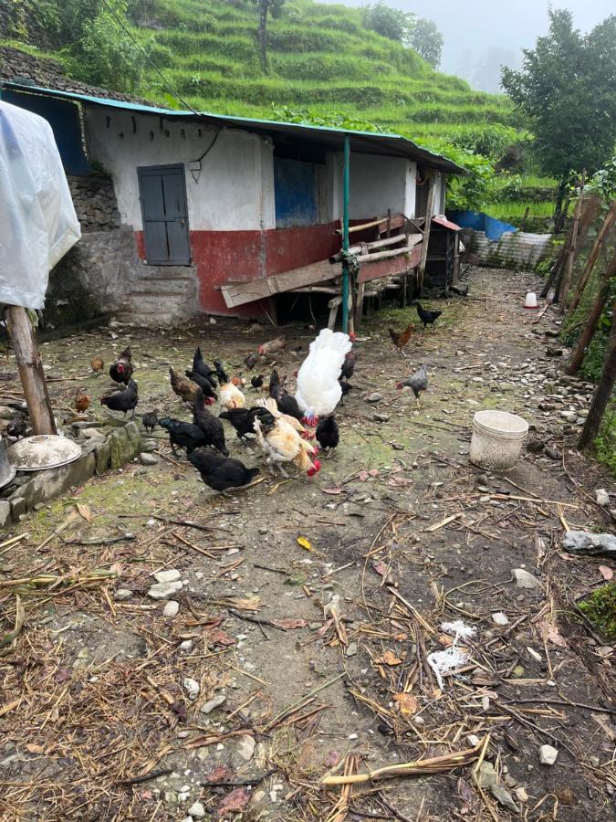 The North Face Inn'S Homestay Pokhara Kültér fotó